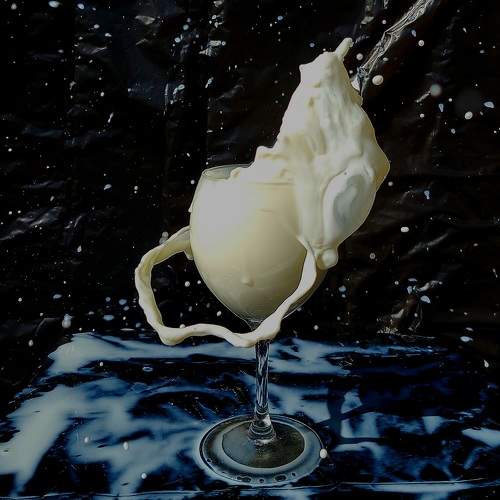 Photo #11478405