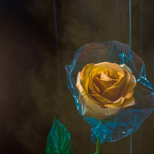 Photo #11478408