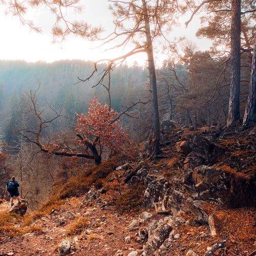 Photo #11478514