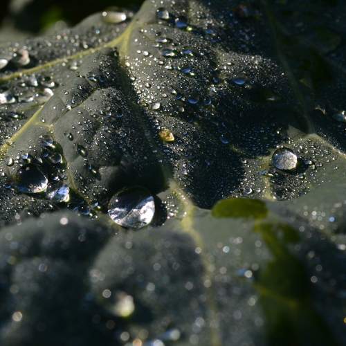 Photo #11478795