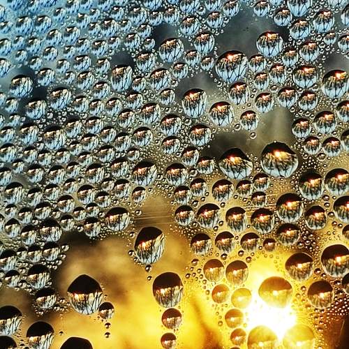 Photo #11479211