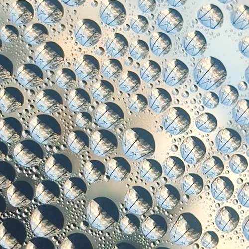 Photo #11479215