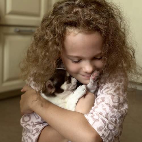 Photo #11479389