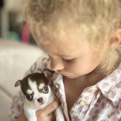 Photo #11479390