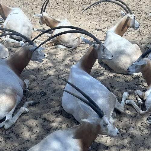Photo #11479411