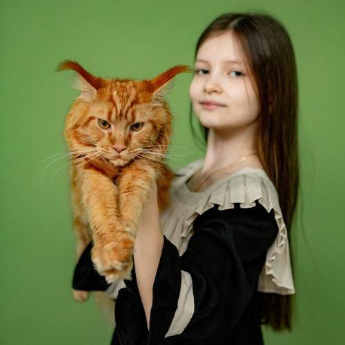 Photo #11479433