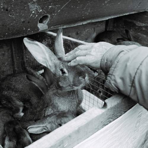 Photo #11479601