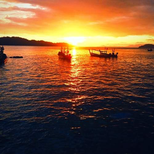 Photo #11480593