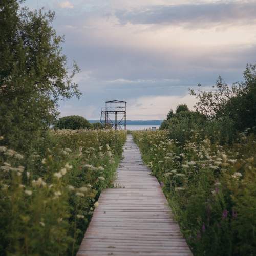 Photo #11480816