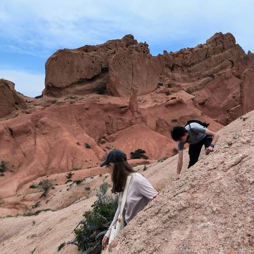 Photo #11480839