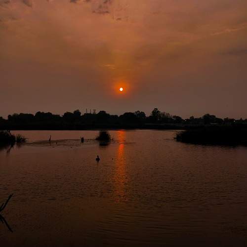 Photo #11480840