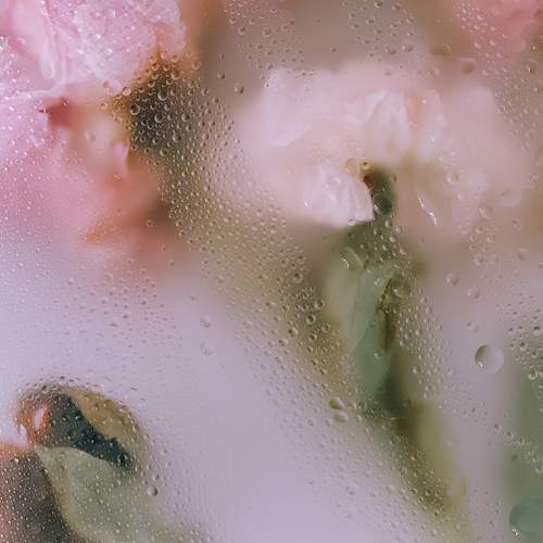 Photo #11481001