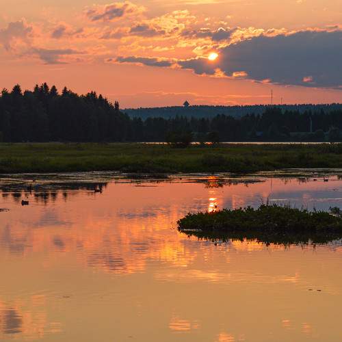 Photo #11481070