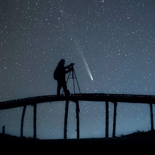 Photo #11481163