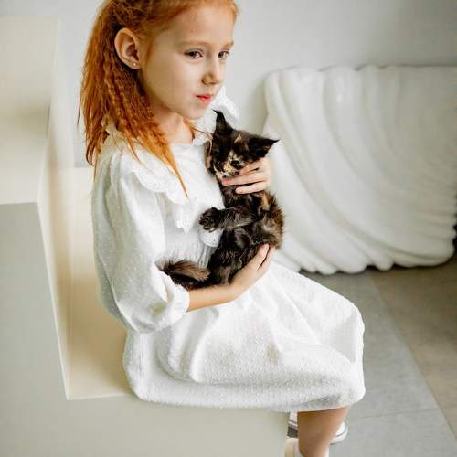 Photo #11481195