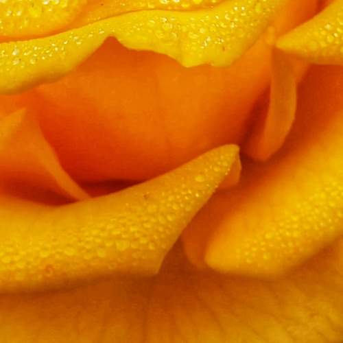 Photo #11481356