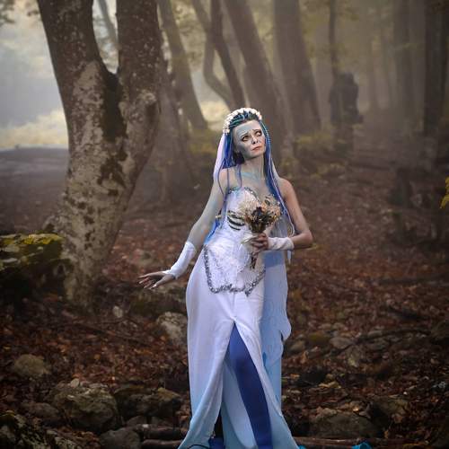 Photo #11481368