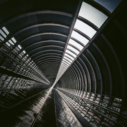 Photo #11481587