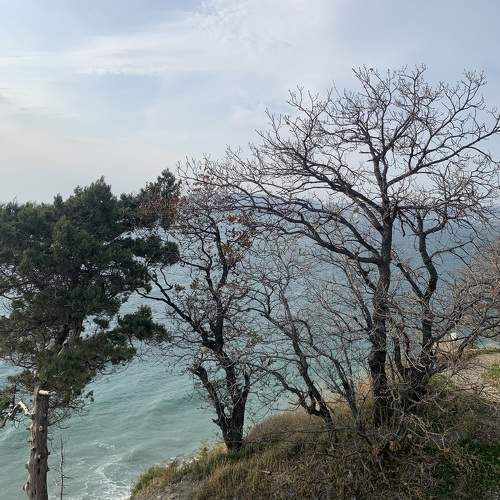 Photo #11481689