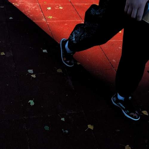 Photo #11481730