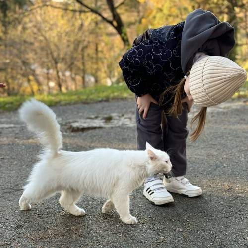 Photo #11481886