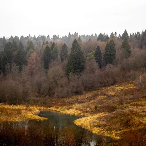 Photo #11482158