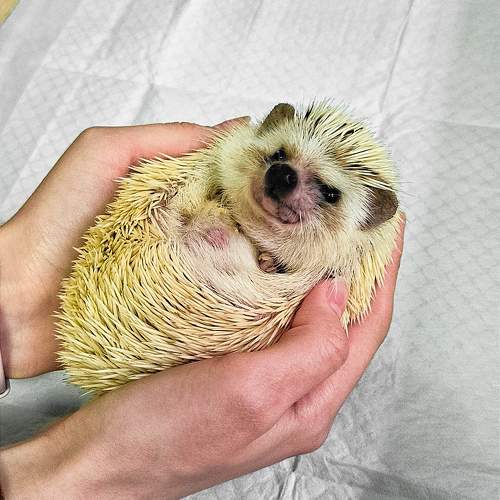 Photo #11482241