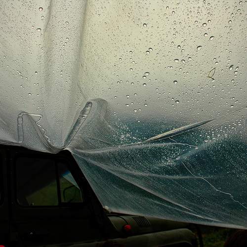 Photo #11482326