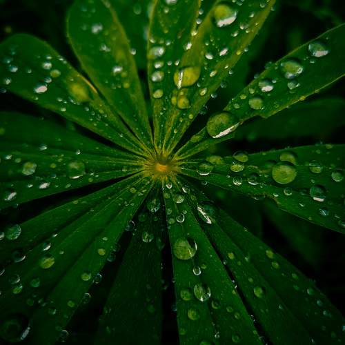 Photo #11482358