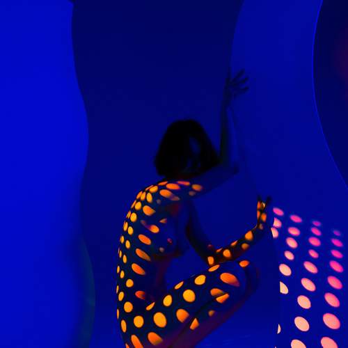 Photo #11482388