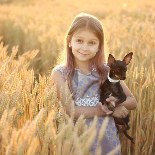 Photo #11482458