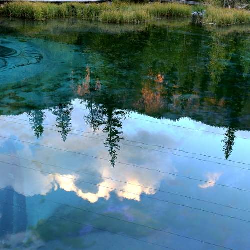 Photo #11482695