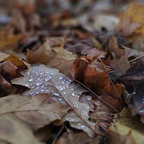 Photo #11482708