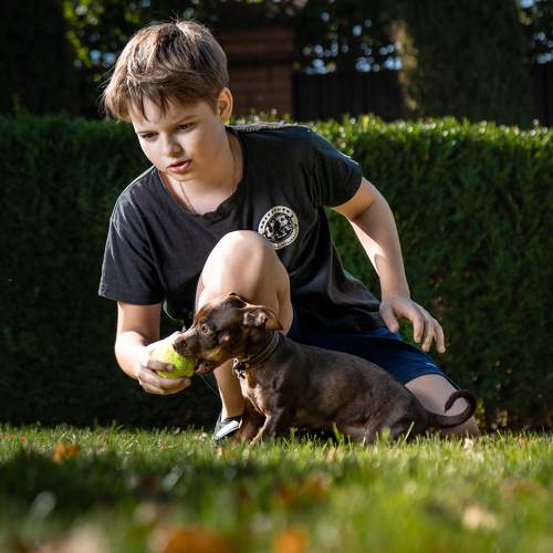 Photo #11482830