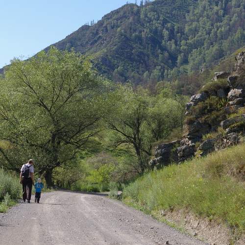 Photo #11482853