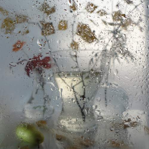 Photo #11482908