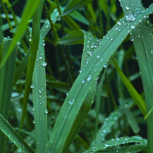 Photo #11483046