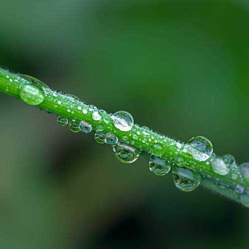 Photo #11483114