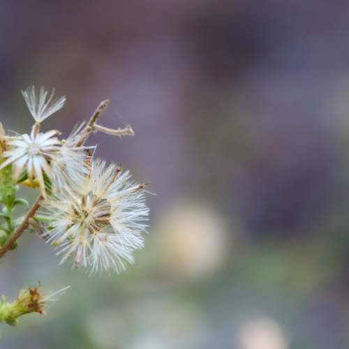Photo #11483123