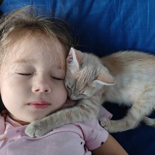 Photo #11483196