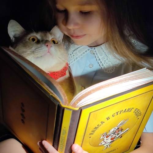 Photo #11483231