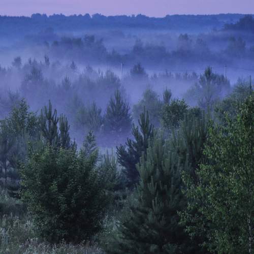 Photo #11483287