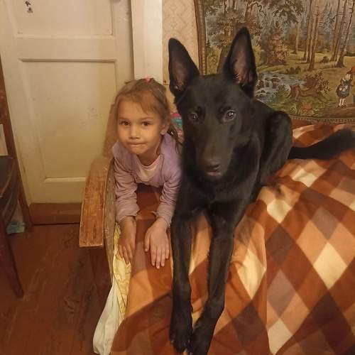 Photo #11483456