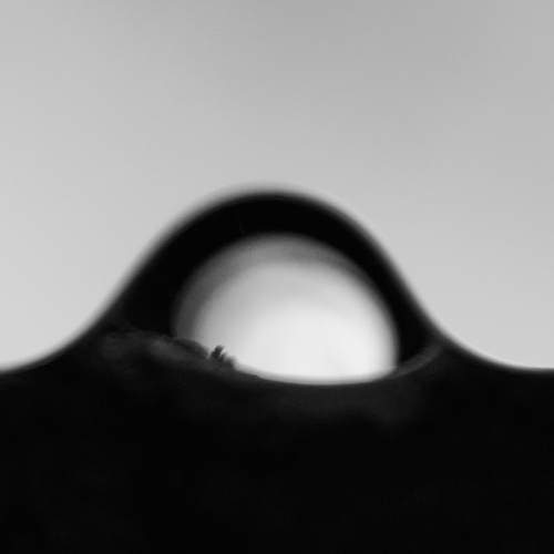 Photo #11483661