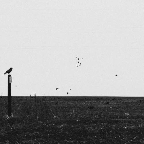 Photo #11483862
