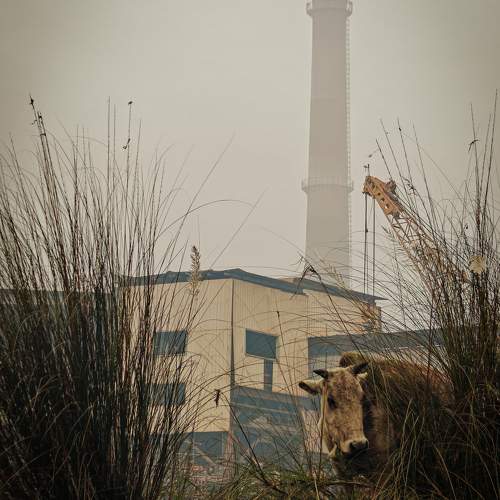 Photo #11483864