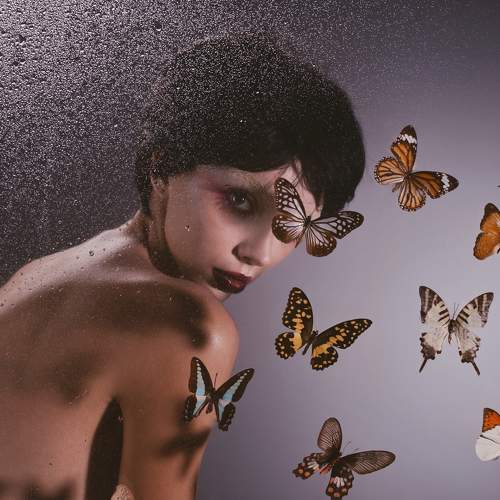 Photo #11484276