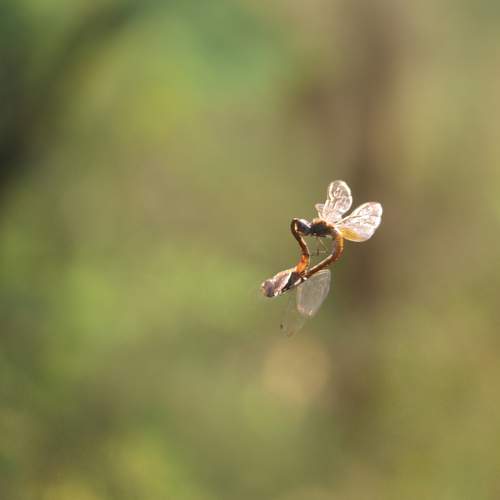 Love is in the air !!