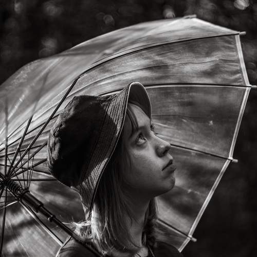 Photo #11485249