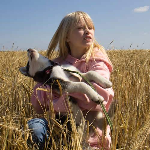 Photo #11485315